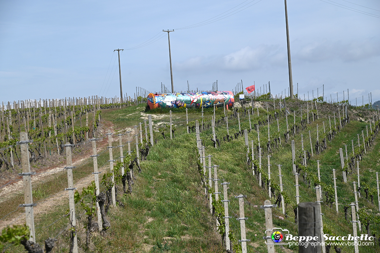 VBS_3277 - Mango (Cuneo) - Gnomovia.jpg